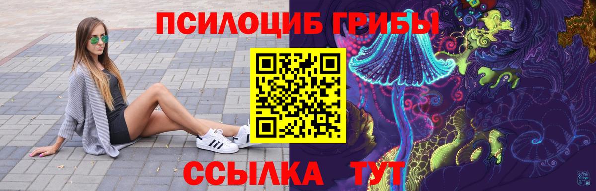 Псилоцибиновые грибы Cubensis Удомля